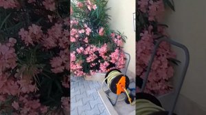 Отель Эдем ,Адлер,23.06.23г.#рекомендации
