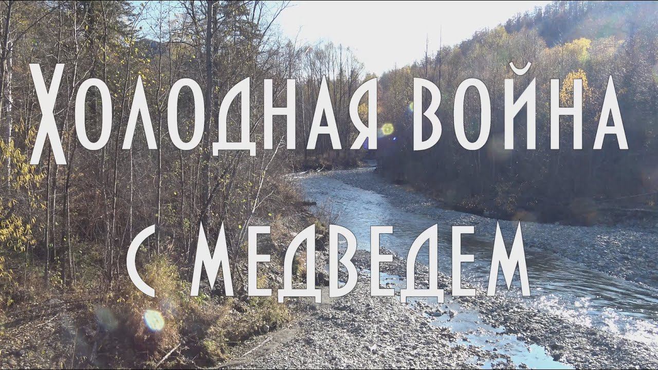 Холодная война с медведем Противостояние медведя и человека