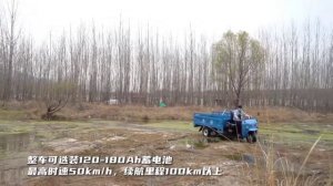 Грузовые электрические трициклы. Дождевание и покатушки по болотцу.