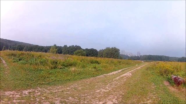 Битцевский лес. Часть 1 смотреть онлайн