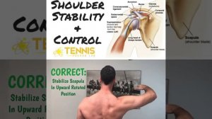 Shoulder and Scapular Control and Stability Exercise
