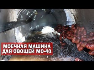 Моечная машина для овощей (картофеля, свеклы, моркови)