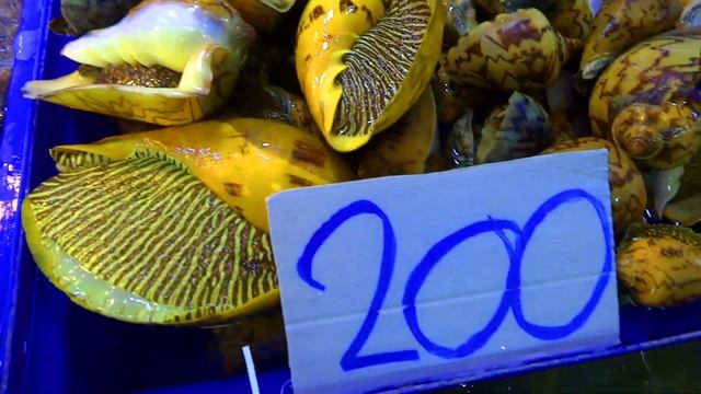 ЗАТЯНУЛО ТУРИСТОВ В СЕТИ НА РЫБНОМ РЫНКЕ МОРЕПРОДУКТОВ НАКЛУА ( Naklua Fish Market )