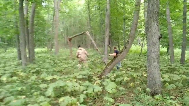 Нужно больше древесины