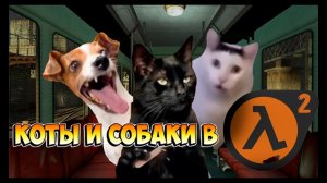 Коты и Собаки в HALF LIFE 2