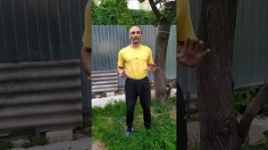 Гениальный цигун для почек