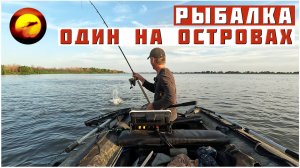 Рыбалка! ОДИН НА ОСТРОВАХ / Сазан, Сом и Шакалы в Дельте Волги