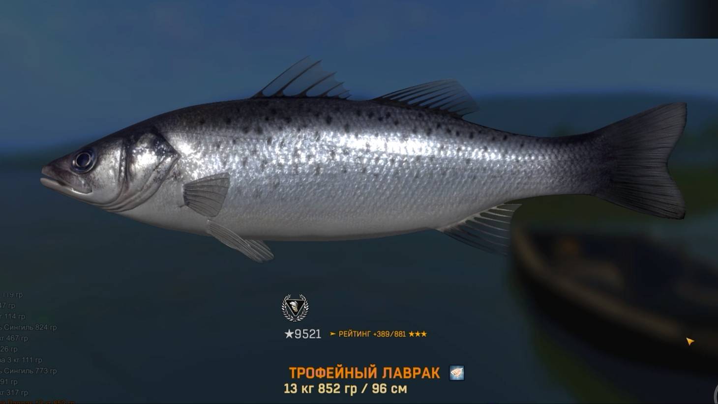 FISHER ONLINE: трофейный лаврак, Италия, р. По