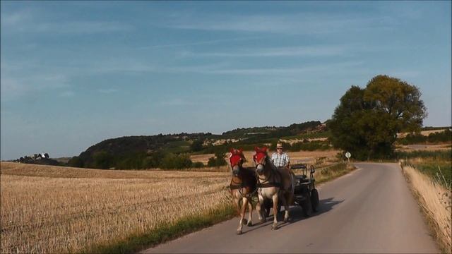 Beifuß und Wermut Heilkraut der Frauen смотреть онлайн