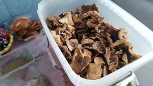 Простая и надёжная сушка и хранение пантерного мухамора!!!