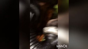 Не тянет турбина на 313 мерседес спринтер часть 2