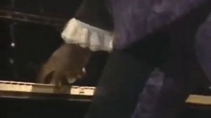 Screamin' Jay Hawkins - Little Demon and I Put A Spell On You (Live in Tokyo, Japan 1990)