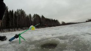 Ловля на красную икру.  Зимняя рыбалка.