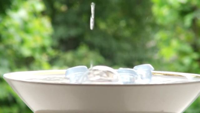 Установка оконной кормушки для птиц производства Арт Кормушка. смотреть онлайн