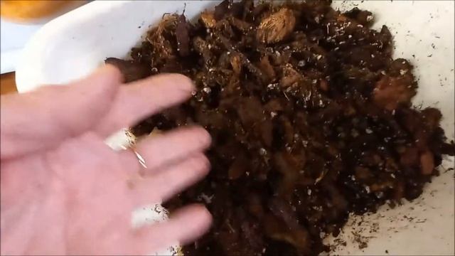 НЕОБЫЧНАЯ ПОСАДКА ОРХИДЕИ В КАШПО !!!