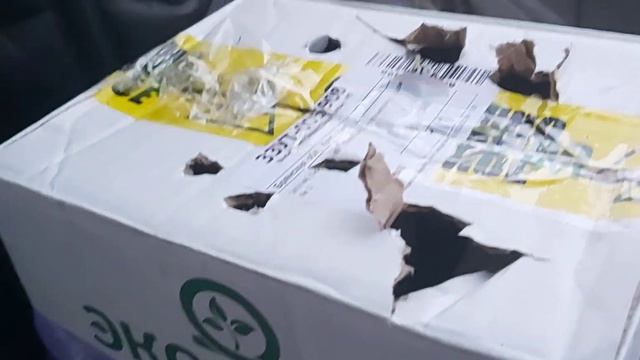 Новичок! Оказался Вальдшнепом и при осмотре успешно выпустился
