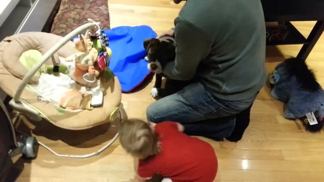 Служба спасения? Помогите, меня преследует добрая собака 1,2 м смотреть онлайн