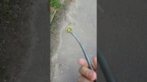 Ищу крышки на улице! Первое нестандартное видео?
