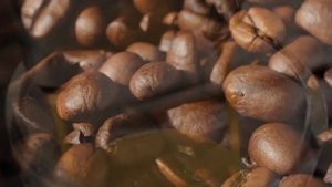 Кофемашина Gaggia Platinum Swing Up