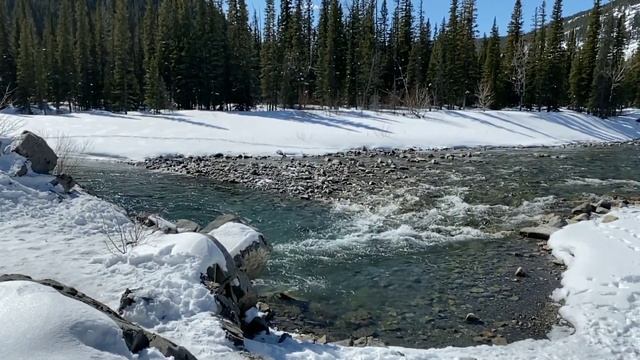 Snow Winter Relaxation Video | Meditation Relaxing Music | Winter Sound | Nature Voice | Snow fall смотреть онлайн