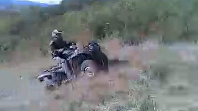 honda trx 350 смотреть онлайн