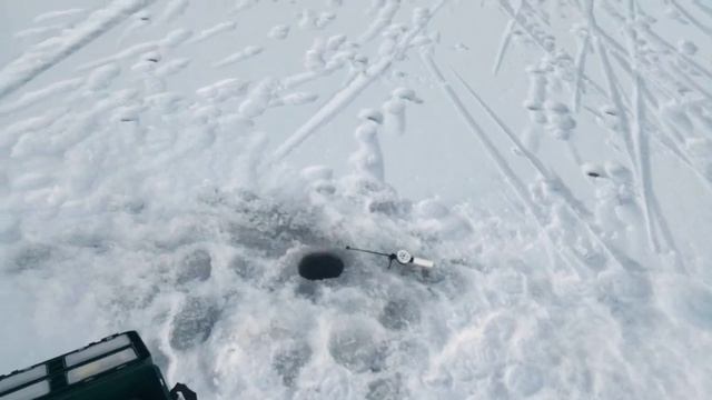 Почему не получилось сегодня поймать рыбу. смотреть онлайн