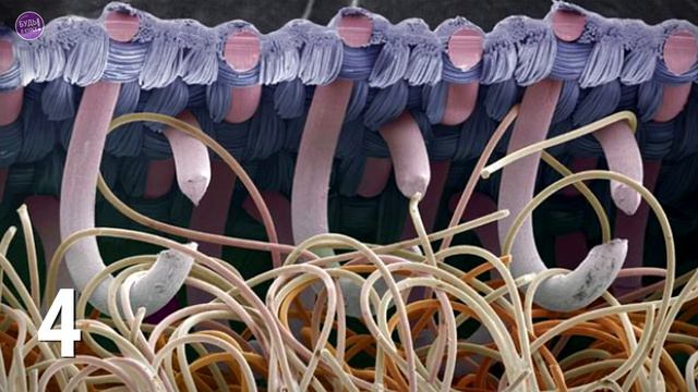 Угадай, что на фото! Часть 2 🔬 БУДЬ В КУРСЕ TV смотреть онлайн