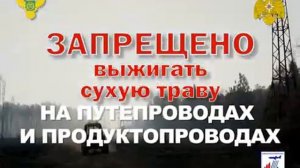 Береги лес ТК ОКСИОН