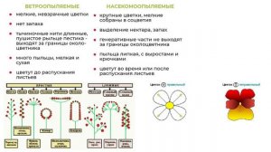 генеративные органы растений. ОГЭ и ЕГЭ
