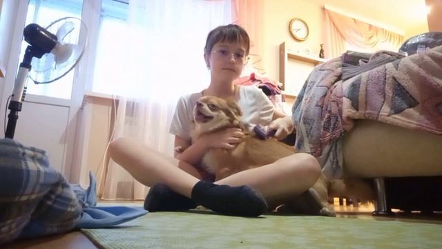 Pets vlog// весёлая чихуахуа🐶//жизнь Тимки💓//прогулки🤙