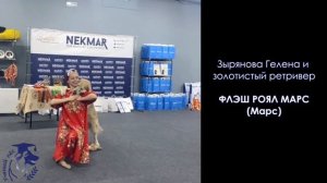 Показательные выступления спортсменов клуба «Учёный Пёс» на РРК 2023