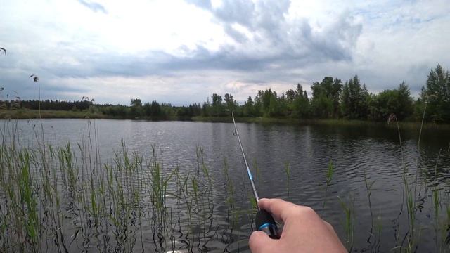 Спиннинг Stinger ForceAge Ultralight. Работа комплекта! смотреть онлайн