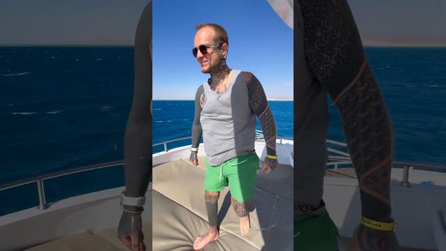 Отель Pyramisa 2024 г Египет часть 3 смотреть онлайн