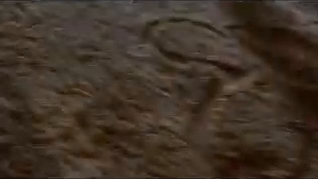 болталка №4))) смотреть онлайн