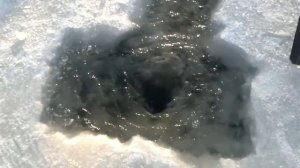 Как ловить рыбу на тягу !