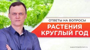 Как выращивать растения круглый год внутри помещения?