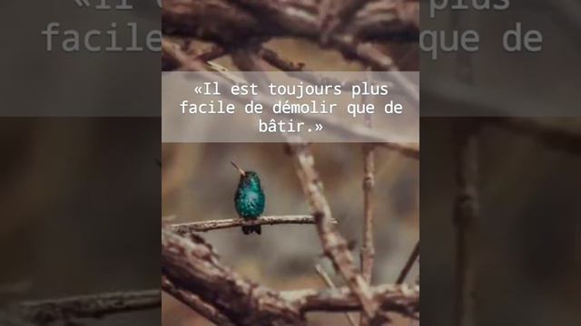 Les plus beaux proverbes et citations | أجمل الأقوال و الحكم التي قيلت و التي ربما لم تسمعها من قبل