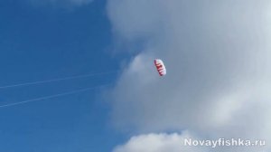 воздушный змей, kite ИНТЕРНЕТ_МАГАЗИН Novayfishka.ru