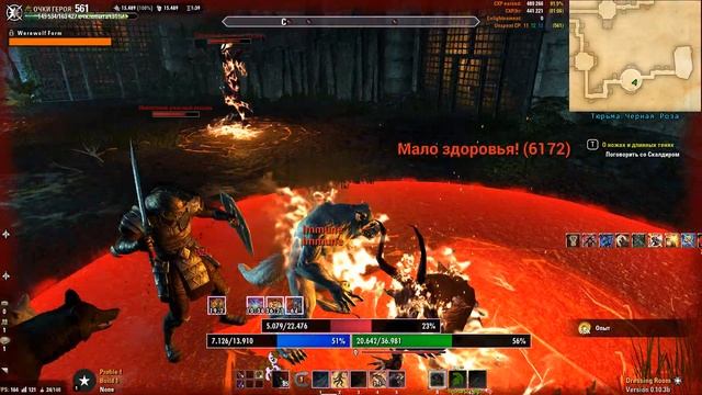 Кач Черная Роза смотреть онлайн