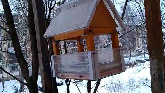 Кормушка для синиц смотреть онлайн