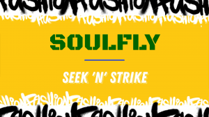 Soulfly - Seek 'N' Strike (Guitar Cover)