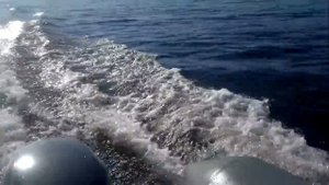 Yamaha F20BMHS.mp4