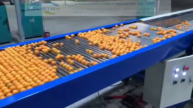 Fruit grading machine----kumquat смотреть онлайн