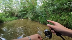 Streamfishing 🔆 Рыбалка на микроречке 🎣🏞️ Ловля голавля на мормышки 🪝