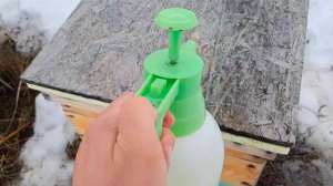 Готовлю пасеку к массовому облёту пчёл