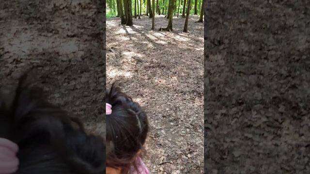 День защиты детей в садике Совята.mp4 смотреть онлайн