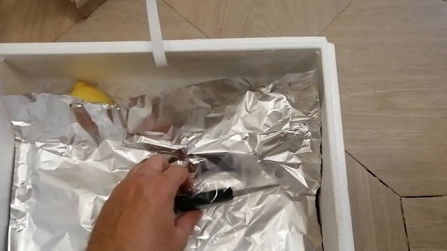 Устрицы