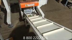 Автомат упаковочный Русская трапеза РТ-УМ-24 с мультиголовочным весовым дозатором DPM-310 SP T W