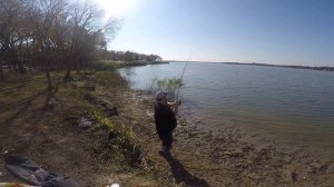 20lb buffalo(ictiobus)on Shakespeare ugly stik gx2