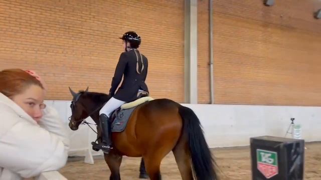 #дерби #соревнования #конкур #horse #кск #рекомендации смотреть онлайн